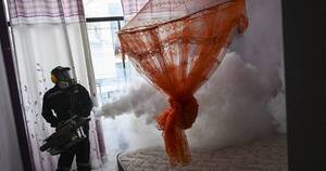 La Nación / Repunte mundial del dengue: 5 millones de casos y 5.000 muertes en 2023