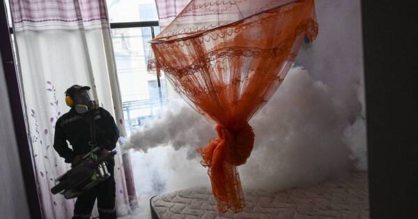 La Nación / Repunte mundial del dengue: 5 millones de casos y 5.000 muertes en 2023