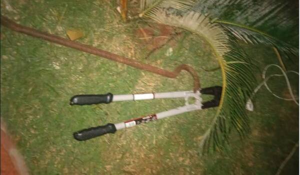 Violentísimo asalto de un grupo de arrieros para, al final, robarse el celular de una joven