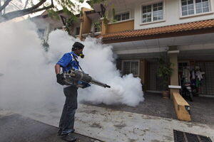 Órgano regulador mexicano alerta sobre comercialización ilegal de insecticida doméstico - MarketData