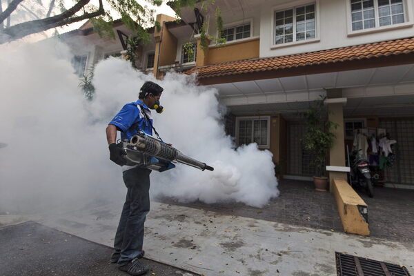 Órgano regulador mexicano alerta sobre comercialización ilegal de insecticida doméstico - MarketData