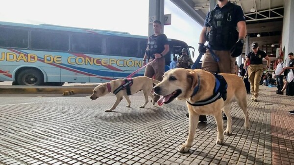 Año Paha: controles antidrogas en la Estación de Buses