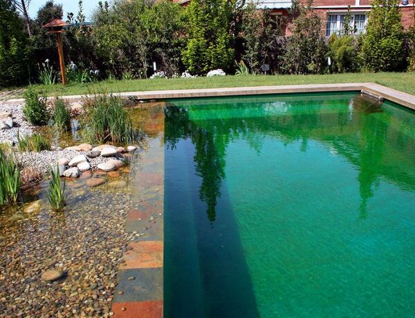 Alertan sobre aguas contaminadas y piletas de concentración masiva que son focos de infección en esta temporada - trece