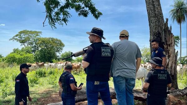 Hay dos detenidos por caso de abigeato a gran escala, pero animales estarían en Brasil