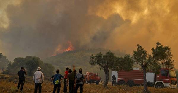 La Nación / #Anuario2023: año devastador de incendios forestales