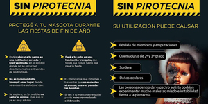 SE INSTA A EVITAR EXPONER A NIÑOS, PERSONAS CON AUTISMO Y MASCOTAS A LOS PELIGROS DE LA PIROTECNIA - Itapúa Noticias