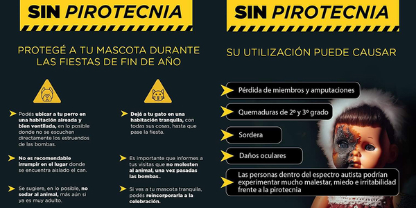 SE INSTA A EVITAR EXPONER A NIÑOS, PERSONAS CON AUTISMO Y MASCOTAS A LOS PELIGROS DE LA PIROTECNIA - Itapúa Noticias