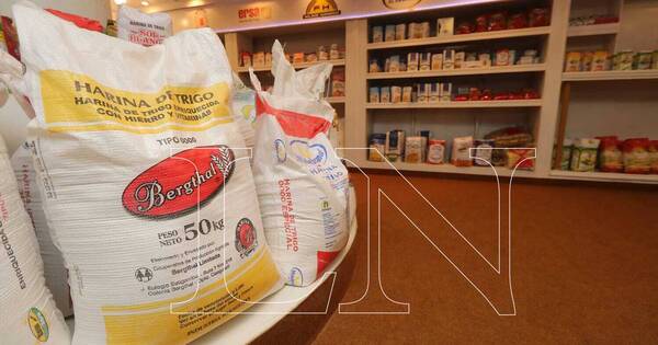 La Nación / Apuntan a abrir exportaciones de harina paraguaya en los mercados de Uruguay y Chile