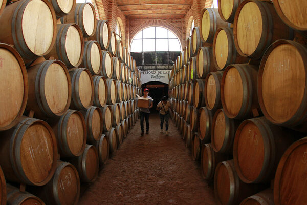 El Consejo del Tequila de México estima una exportación de 420 millones de litros en 2023 - MarketData