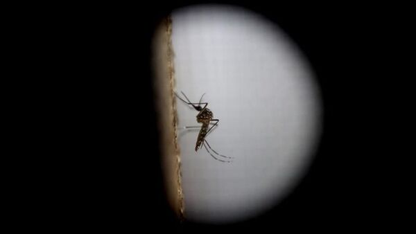 Niña de 6 años fallece por un cuadro de dengue en el Hospital de Caacupé