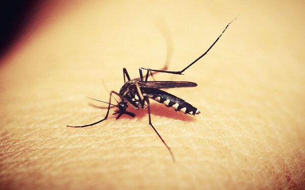 Niña de 6 años fallece por un cuadro de dengue en el Hospital de Caacupé - Oasis FM 94.3