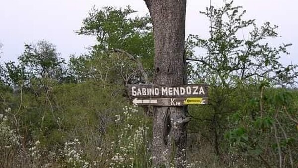 Oenegé que protege a indígenas pide investigar hallazgo de un cadáver en Alto Paraguay