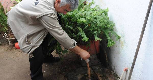 La Nación / Dengue: los adultos mayores estarán en riesgo ante eventual ingreso del serotipo 3