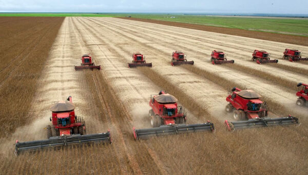 Brasil abre el mercado a 78 de sus productos agropecuarios en 39 pa铆ses en 2023 - Revista PLUS
