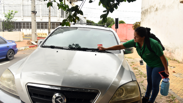 Se espera una recaudación de 40.000 millones por el servicio de estacionamiento tarifado