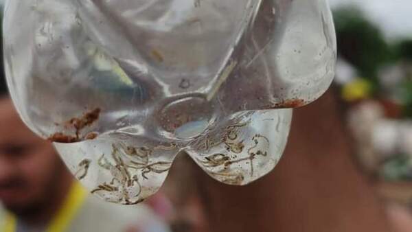 Dengue se cobra la vida de un adolescente de 15 años en Ciudad del Este