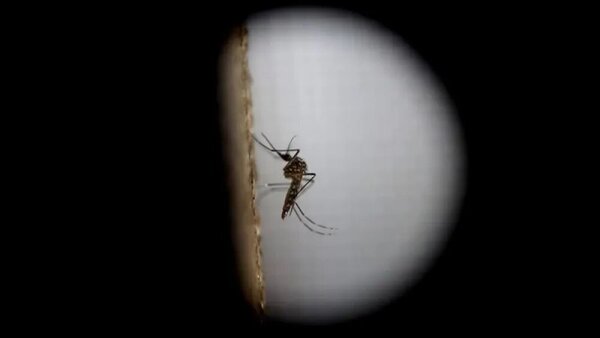 Niña de 6 años fallece por un cuadro de dengue en el Hospital de Caacupé - Radio Imperio 106.7 FM