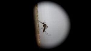 Niña de 6 años fallece por un cuadro de dengue en el Hospital de Caacupé