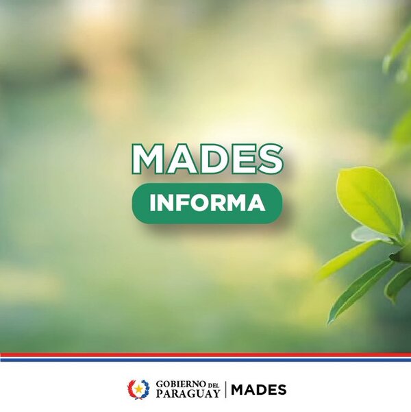 Unos 169 balnearios cuenta con declaración de impacto ambiental