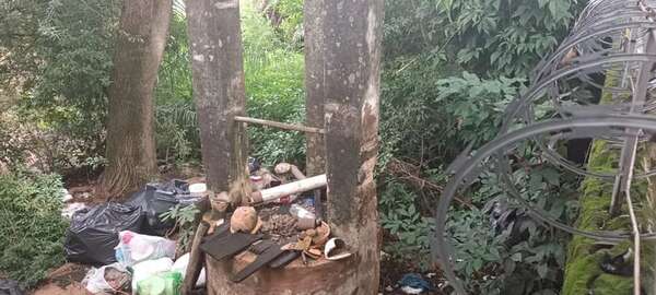 Dengue: vecinos denuncian casa abandonada, pero no tienen respuesta de la municipalidad - Nacionales - ABC Color