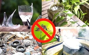 Solicitan colaborar para eliminar los criaderos de mosquitos y evitar automedicación - Portal Digital Cáritas Universidad Católica