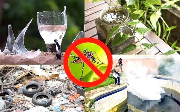 Solicitan colaborar para eliminar los criaderos de mosquitos y evitar automedicación - Portal Digital Cáritas Universidad Católica