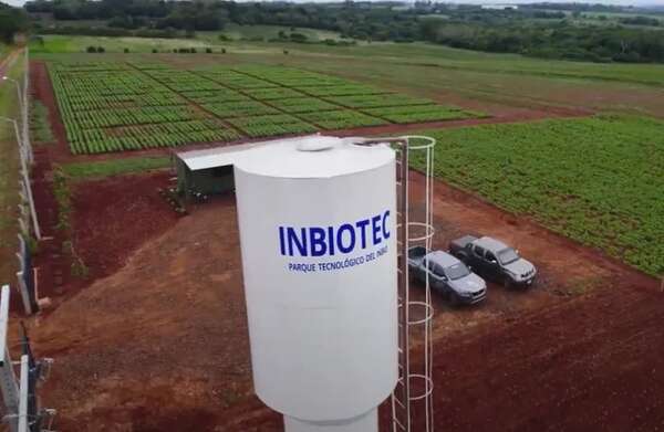 Inbio cerró un buen año con varios logros - Economía - ABC Color