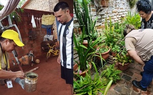 Repelentes, mangas largas, telas metálicas y limpieza: Armas para combatir al dengue - ADN Digital