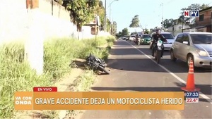 Lince muere en grave accidente sobre ruta Luque - San Lorenzo - Noticias Paraguay