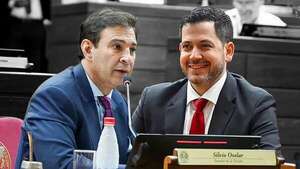Ovelar y Latorre metieron 511 nuevos funcionarios al Congreso en 6 meses - Política - ABC Color