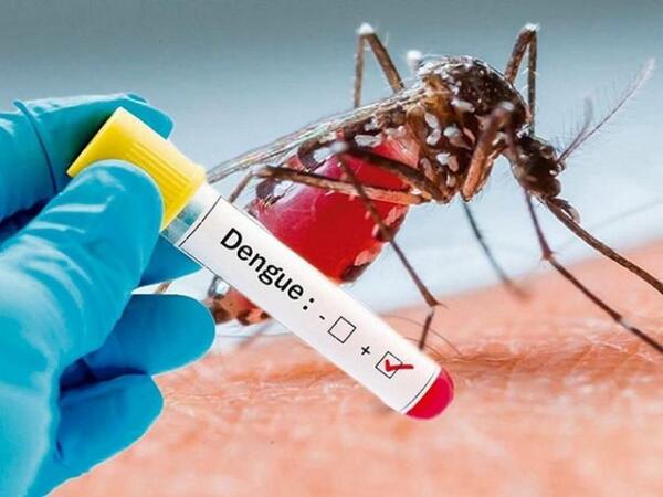 Dengue deja dos fallecidos y la cifra de afectados siguen en aumento