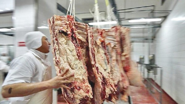 Retoman exportación de carne de vacuno sin restricciones