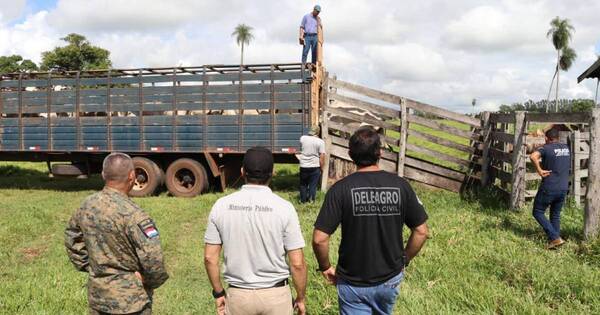 Diario HOY | Las vacas recuperadas en Brasil estarán en cuarentena