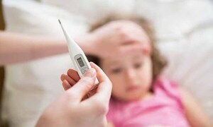 Aumentaron casos febriles por dengue durante fiestas de Año Nuevo – Prensa 5