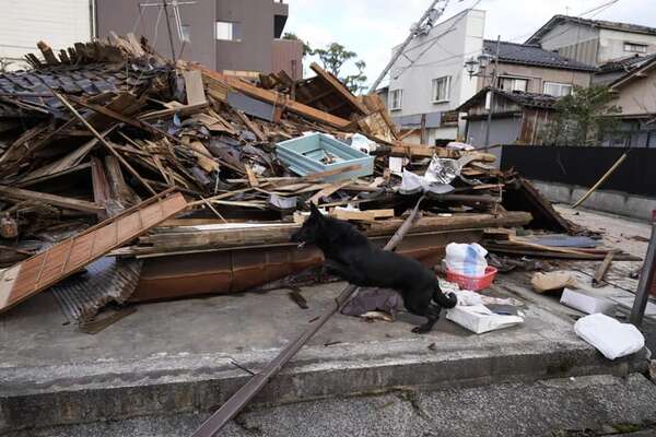 Jennifer, la perra que rescató a una anciana de los escombros del terremoto de Japón - Mascotas - ABC Color
