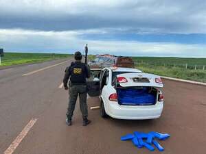 Interceptan automóvil con 435 kilos de marihuana en la frontera - Policiales - ABC Color