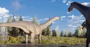 Diario HOY | Descubren nueva especie de dinosaurio herbívoro de cuello largo en Argentina