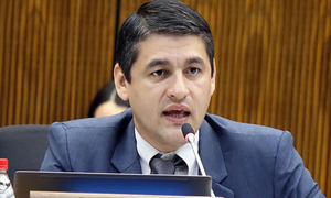 Un diputado admite que contrató como asesora a su esposa