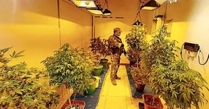  Ministerio Público solicita penas de hasta 12 años para procesados en la causa “marihuana VIP”