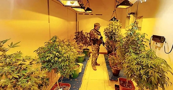 Ministerio Público solicita penas de hasta 12 años para procesados en la causa “marihuana VIP”
