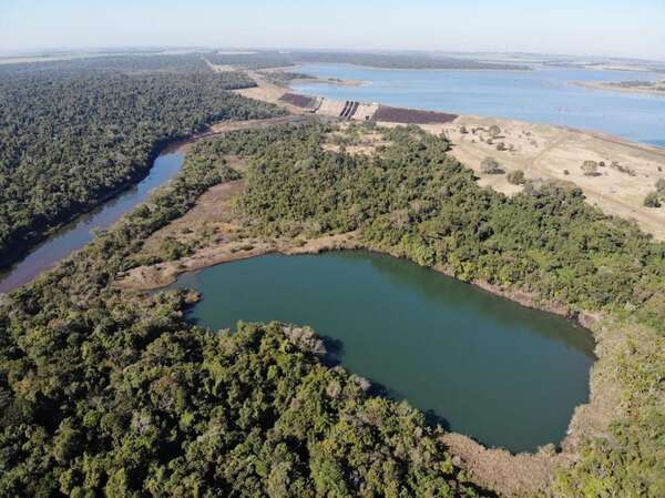 Ejecutivo renueva declaración de Área Silvestre Protegida de la Reserva Natural Yguazú - ADN Digital