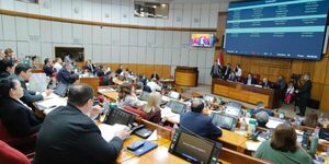 Convocan a senadores para tratar proyectos sobre emergencia penitenciaria