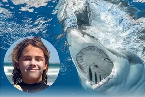 Conmoción en el mundo del surf: Una de las promesas del deporte murió atacado por un tiburón