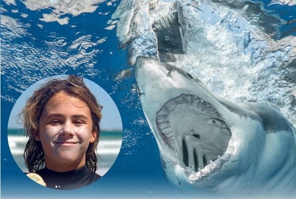 Conmoción en el mundo del surf: Una de las promesas del deporte murió atacado por un tiburón