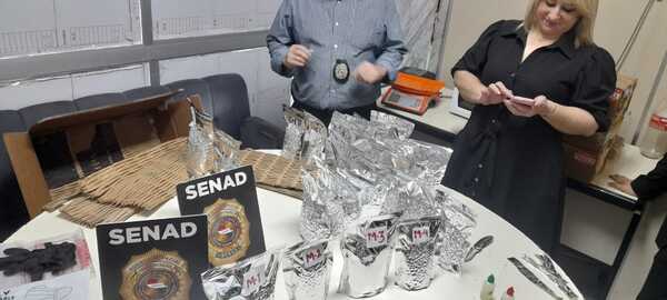 SENAD detecta marihuana con alta concentración de THC en encomienda proveniente de EE.UU. - Unicanal