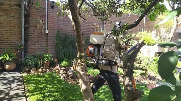 Dengue en Itapúa: Casi 1.400 casos y 19 cuadros graves internados - Nacionales - ABC Color
