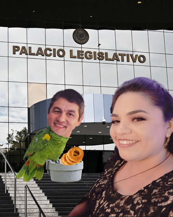 DIPUTADO DICE QUE SU SUELDO DE G. 33 MILLONES ES INSUFICIENTE
