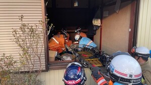 Perro de rescate salva a una mujer de 80 años en Japón 72 horas después del terremoto