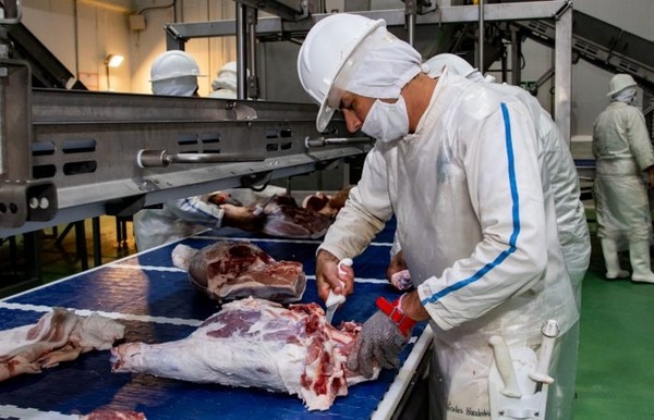 Paraguayan pork exports experience exponential growth following Taiwan market opening - .::Agencia IP::.