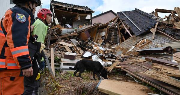 La Nación / Elsa, la perra rescatista que busca sobrevivientes tras el terremoto en Japón